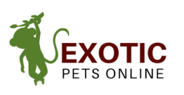 Exotic Primate Planet